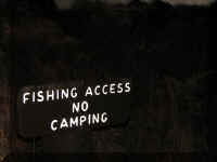 a f0815trr_265_1.JPG (25870 bytes)