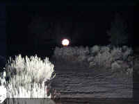 a f0815trr_268_1.JPG (41117 bytes)