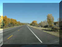 a f1010ut rd_109 road trees_1.jpg (32704 bytes)
