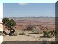 a f1010ut rd_256 tsrs_1.JPG (40169 bytes)