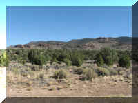 a f1006 ut rd z_155_1.JPG (42612 bytes)