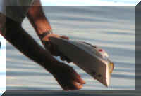 a a f0829wa_102 model boat_1.jpg (31394 bytes)