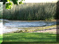 a a f0901wa_109 water shore crop_1.jpg (73472 bytes)