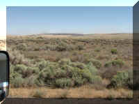 a f0827wa_215 sagebrush2_1.JPG (40464 bytes)