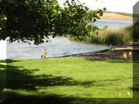 a f0830wa_202 kids seaweed_1.JPG (59260 bytes)