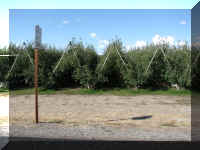 a f0831wa_105 app hrvd3_1.JPG (48028 bytes)