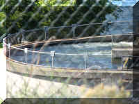 a f0831wa_122 ihdam8_1.JPG (54496 bytes)