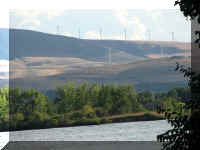 a f0831wa_192 sacsp4_1.JPG (41175 bytes)