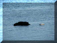 a f0901wa_108 hprl rock_1.JPG (51458 bytes)