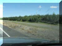 a f0901wa_179 rd fruit4_1.JPG (34058 bytes)