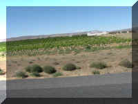 a f0901wa_192 rd fruit5_1.JPG (37110 bytes)