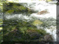 a f0902wa _101_1.JPG (61001 bytes)