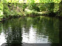 a f0902wa _143 pond_1.JPG (67909 bytes)