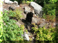 a f0902wa _200 mtn burned_1.JPG (91235 bytes)