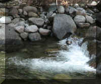 a f0902wa _244_1.jpg (53365 bytes)