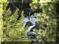 a f0902wa _251_1.JPG (88194 bytes)