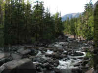 a f0902wa _271_1.JPG (58347 bytes)