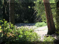 a f0903wa_119 ls dry bed_1.JPG (70562 bytes)