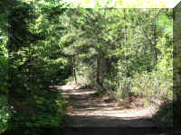 a f0903wa_122 ls walk_1.JPG (83157 bytes)