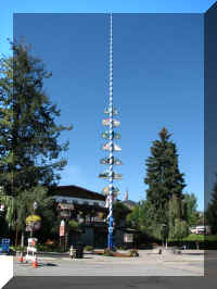 a f0903wa_147 leavenworth may pole_1.JPG (46545 bytes)