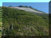 a f0903wa_175_1.JPG (56529 bytes)