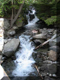 a f0903wa_183_1.JPG (57950 bytes)