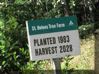 a f0912wa msh_507 plant sign_1.JPG (70851 bytes)