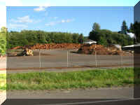 a f0909wa mr_534 lumber8_1.JPG (47007 bytes)