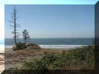 a f0910wa wp_160 water trees_1.JPG (38558 bytes)