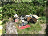 a f0910wa wp_171 shore resident_1.JPG (87431 bytes)