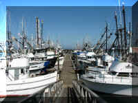 a f0910wa wp_200 marina_1.JPG (57064 bytes)
