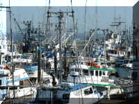 a f0910wa wp_206 marina_1.JPG (74001 bytes)