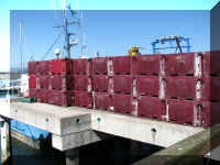 a f0910wa wp_237 fish bins_1.JPG (47694 bytes)