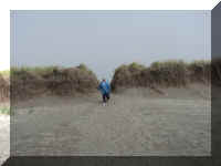 a f0910wa wp_271 pac ml_1.JPG (26875 bytes)