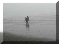 a f0910wa wp_280 pac couple_1.JPG (21366 bytes)