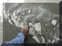 a f0910wa wp_293 pac f foot_1.JPG (43912 bytes)