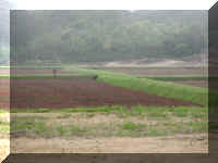 a f0910wa wp_346 cranberry bog_1.JPG (36486 bytes)