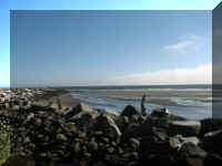 a f0910wa wp_375 shore_1.JPG (33519 bytes)