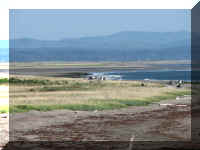 a f0910wa wp_382 shore_1.JPG (39094 bytes)