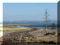 a f0910wa wp_383 shore_1.JPG (36425 bytes)