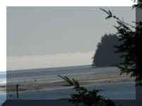 a f0910wa wp_394 fog_1.JPG (25042 bytes)