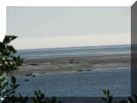 a f0910wa wp_400 fog_1.JPG (29623 bytes)