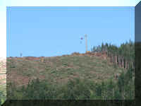 a f0910wa wp_405 logging_1.JPG (37215 bytes)