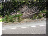 a f0810ys_144 rd in dtrs_1.JPG (57330 bytes)