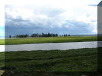 a f0810ys_172_1.JPG (33775 bytes)