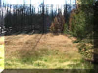 a f0810ys_188_1.JPG (62716 bytes)