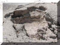 a f0811ys_189 pp_1.JPG (69676 bytes)