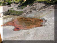 a f0811ys_209 pp clr_1.JPG (62983 bytes)