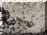 a f0811ys_213 pp strm2_1.JPG (55700 bytes)