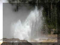 a f0811ys_268 stm bot high_1.JPG (38871 bytes)